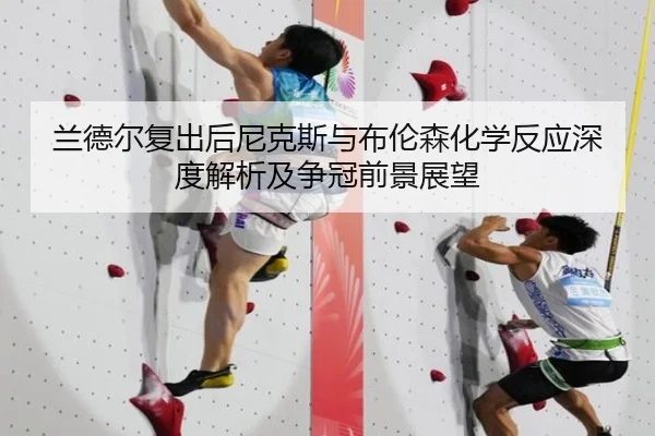 兰德尔复出后尼克斯与布伦森化学反应深度解析及争冠前景展望